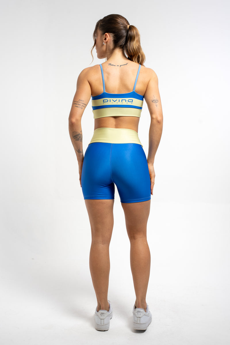 Top Alcinha Division - atarafitness